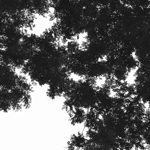 在线免费观看黄91
