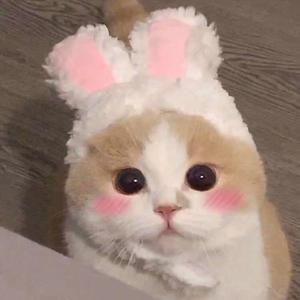 在线免费观看黄91
