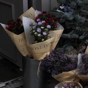 在线免费观看黄91
