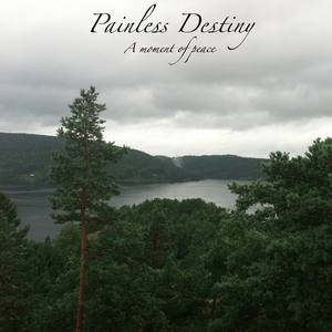 在线免费观看黄91
